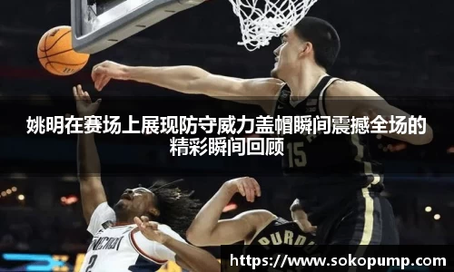姚明在赛场上展现防守威力盖帽瞬间震撼全场的精彩瞬间回顾
